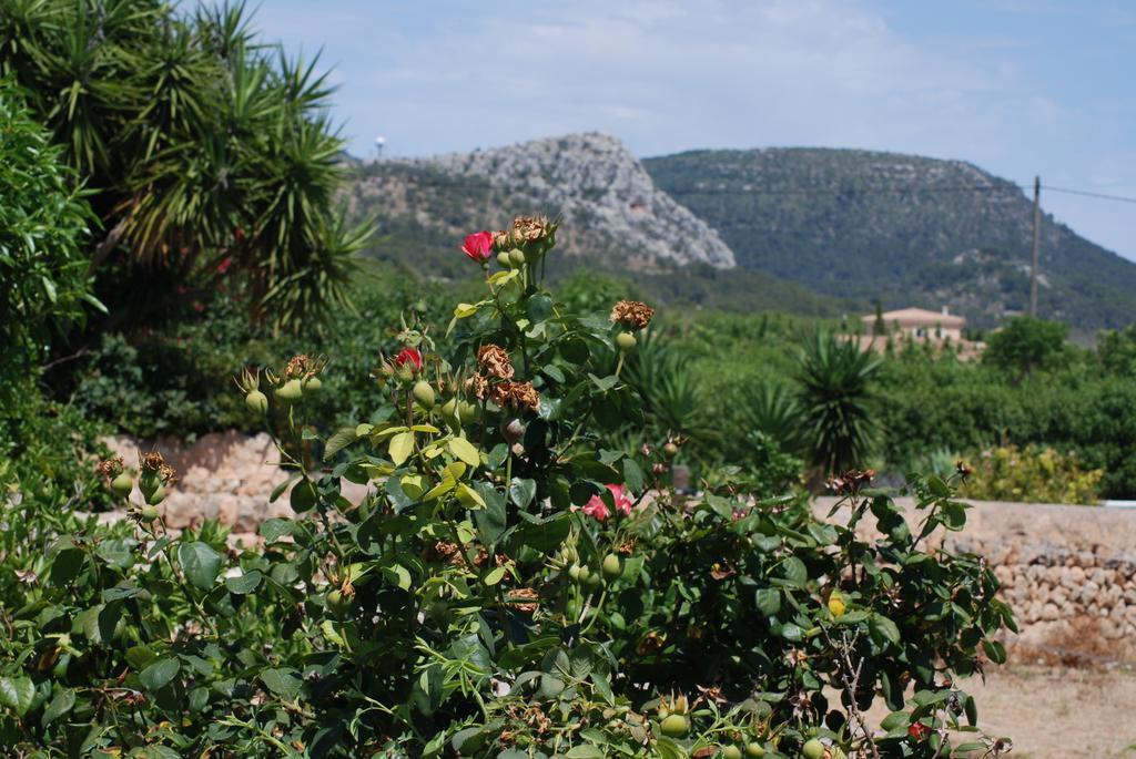 Finca Can Paulino Llucmajor (Mallorca) Quarto foto