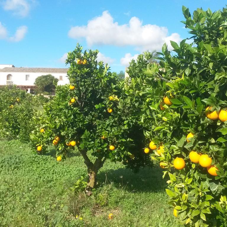 Finca Can Paulino Llucmajor (Mallorca) Quarto foto